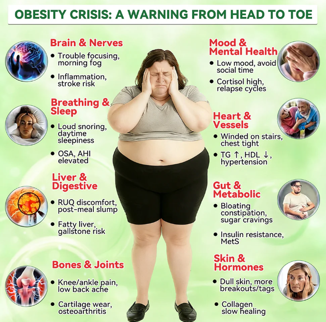 LBMLBM™ Moringa·Berberine × NAD+ 10-in-1 Nano Microneedle Patch Daily, Visible Results in 7 Days For Weight, Skin, Diabetes & Joint Health